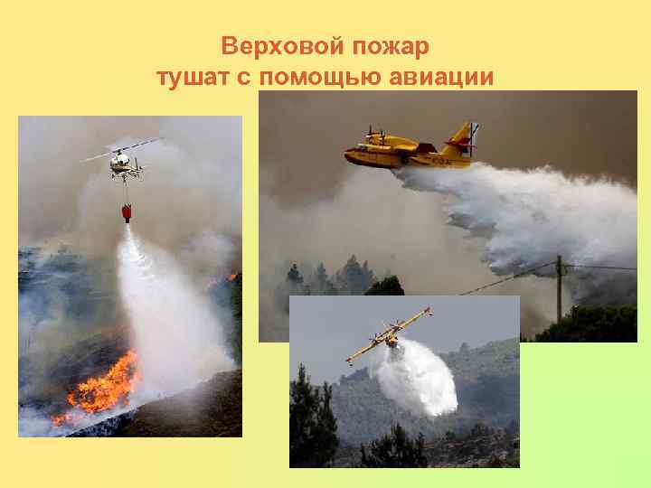   Верховой пожар тушат с помощью авиации 