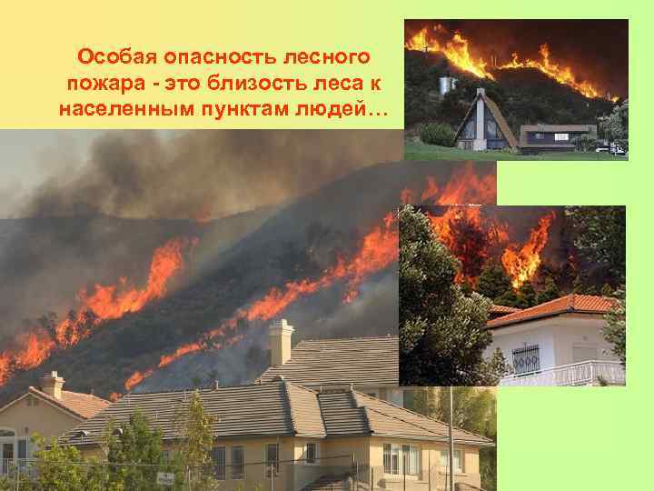  Особая опасность лесного  пожара - это близость леса к населенным пунктам людей…