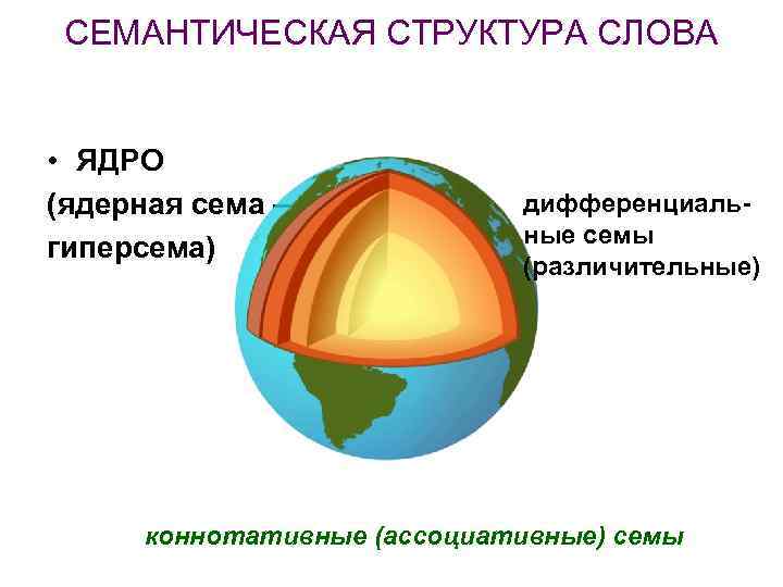  СЕМАНТИЧЕСКАЯ СТРУКТУРА СЛОВА  • ЯДРО (ядерная сема –   дифференциаль- 