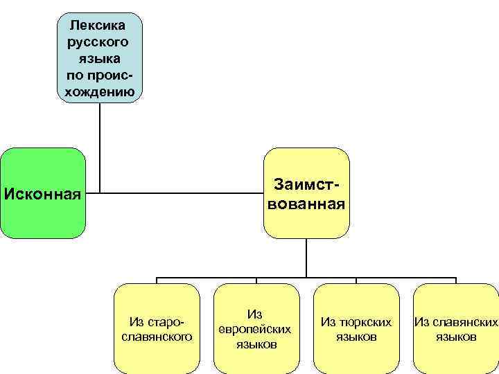   Лексика  русского   языка  по проис-  хождению 