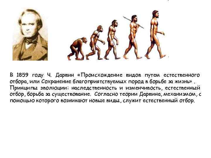 В 1859 году Ч. Дарвин «Происхождение видов путем естественного отбора, или Сохранение благоприятствуемых пород