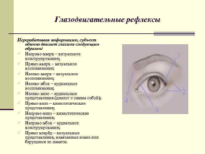    Глазодвигательные рефлексы Перерабатывая информацию, субъект  обычно двигает глазами следующим 