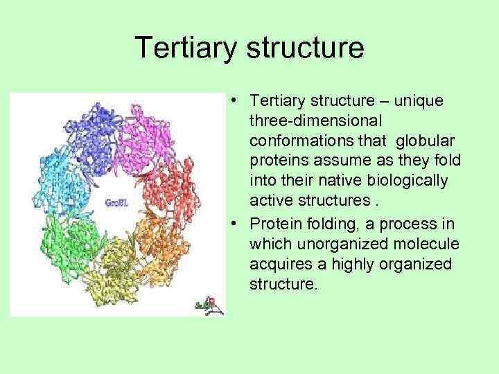 Tertiary structure   • Tertiary structure – unique  three-dimensional  conformations that
