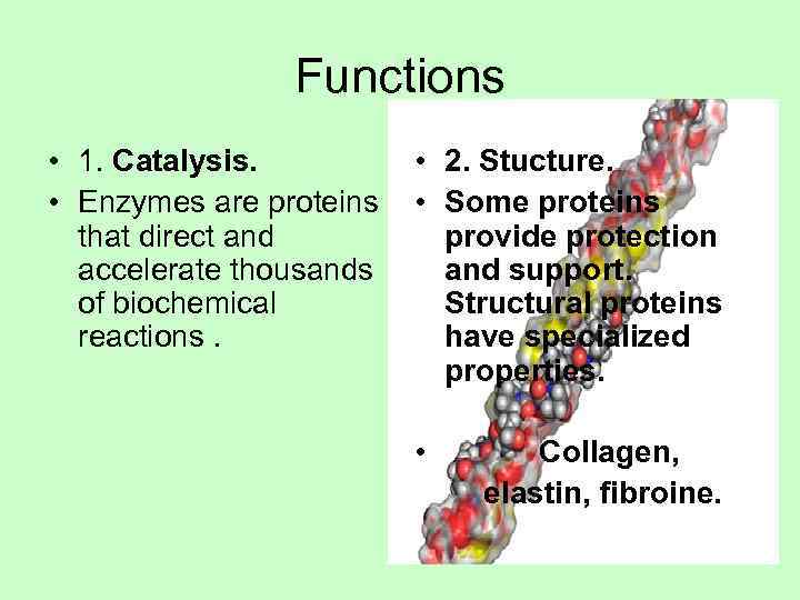     Functions • 1. Catalysis.  • 2. Stucture.  •