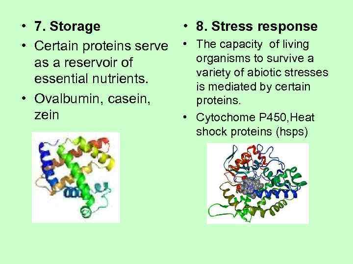  • 7. Storage    • 8. Stress response • Certain proteins