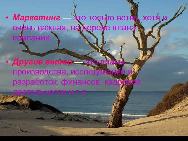  • Маркетинг — это только ветвь, хотя и  очень важная, на дереве