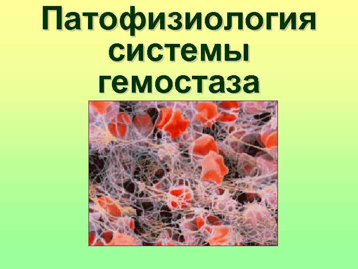 Патофизиология гемостаза