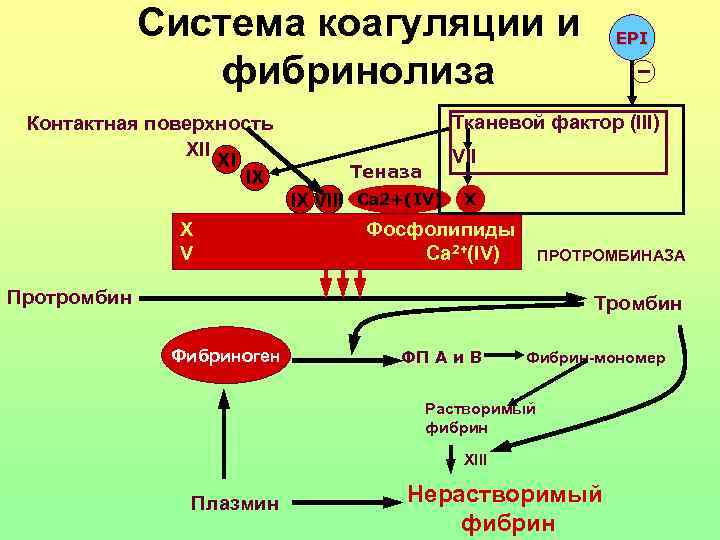 Патофизиология гемостаза презентация