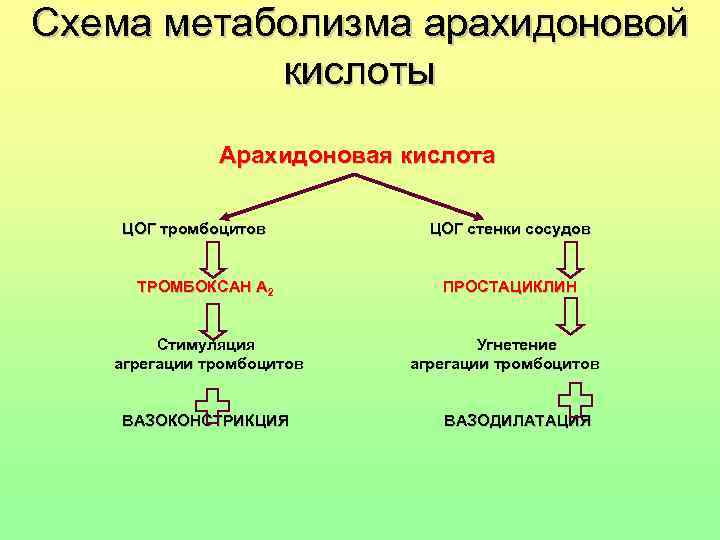 Схема арахидоновой кислоты