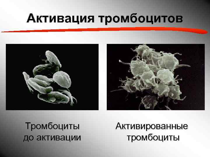 Активация тромбоцитов Тромбоциты Активированные до активации тромбоциты 