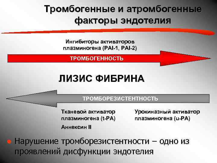   Тромбогенные и атромбогенные   факторы эндотелия    Ингибиторы активаторов