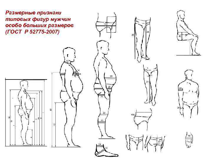 Размерные признаки мужской фигуры