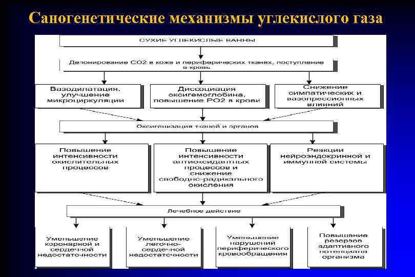 Саногенетические механизмы углекислого газа 