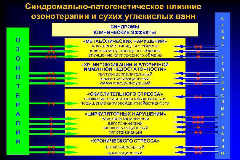   Синдромально-патогенетическое влияние озонотерапии и сухих углекислых ванн   С  