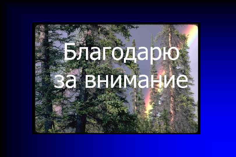  Благодарю за внимание 