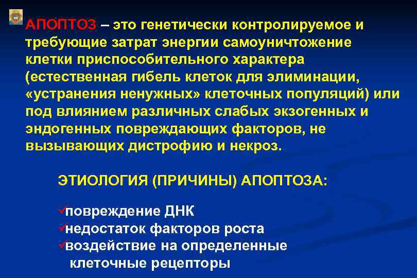 АПОПТОЗ – это генетически контролируемое и требующие затрат энергии самоуничтожение клетки приспособительного характера (естественная АПОПТОЗ – это генетически контролируемое и требующие затрат энергии самоуничтожение клетки приспособительного характера (естественная