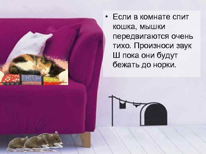  • Если в комнате спит  кошка, мышки  передвигаются очень  тихо.