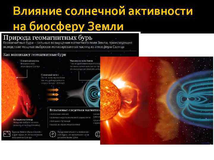 Сайт солнечной активности