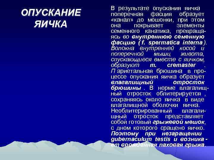   В результате опускания яичка ОПУСКАНИЕ  поперечная фасция образует   «канал»