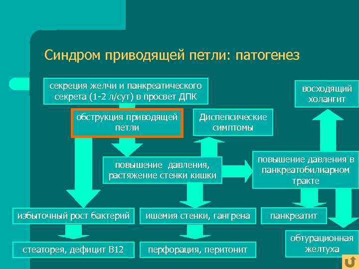  Синдром приводящей петли: патогенез  секреция желчи и панкреатического    восходящий