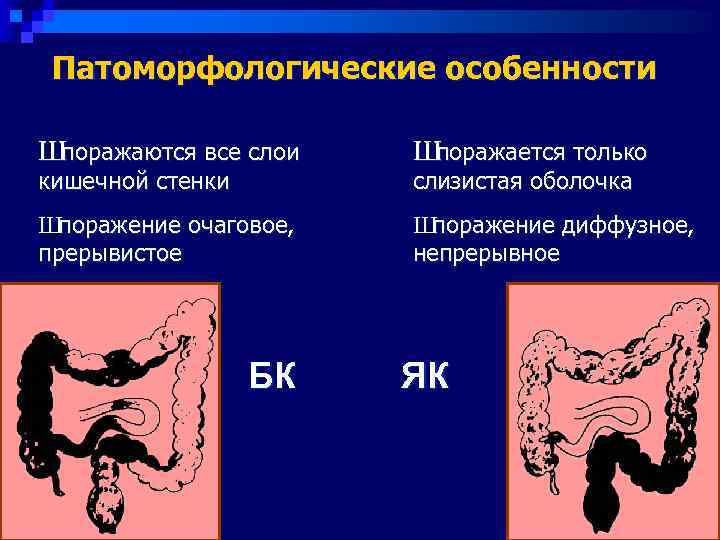  Патоморфологические особенности Шпоражаются все слои  Шпоражается только кишечной стенки  слизистая оболочка