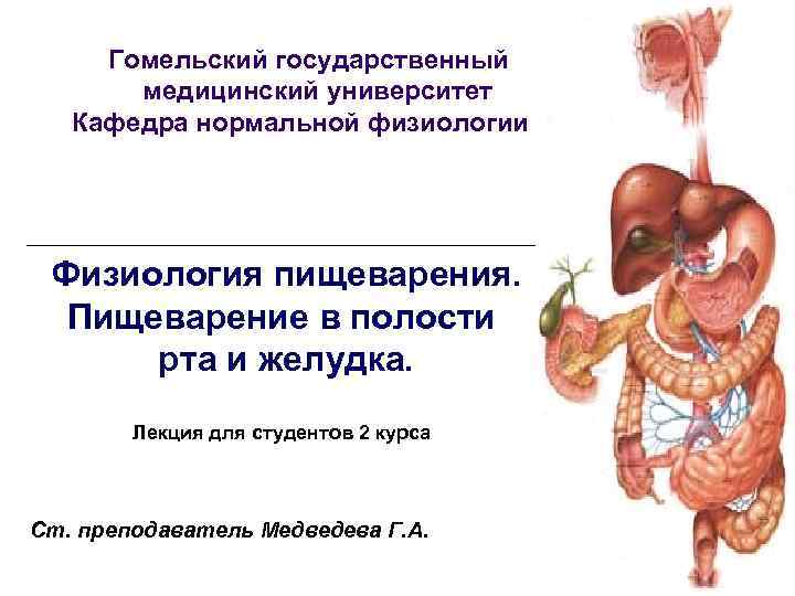  Гомельский государственный  медицинский университет  Кафедра нормальной физиологии Физиология пищеварения.  Пищеварение
