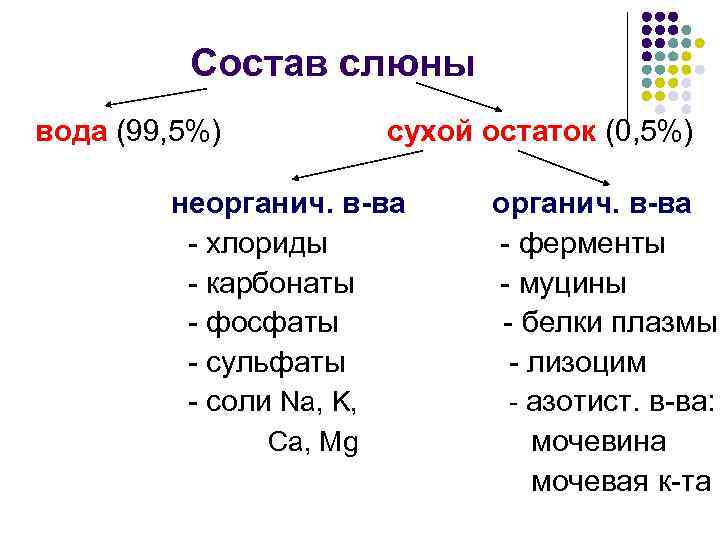    Состав слюны вода (99, 5%)  сухой остаток (0, 5%) 