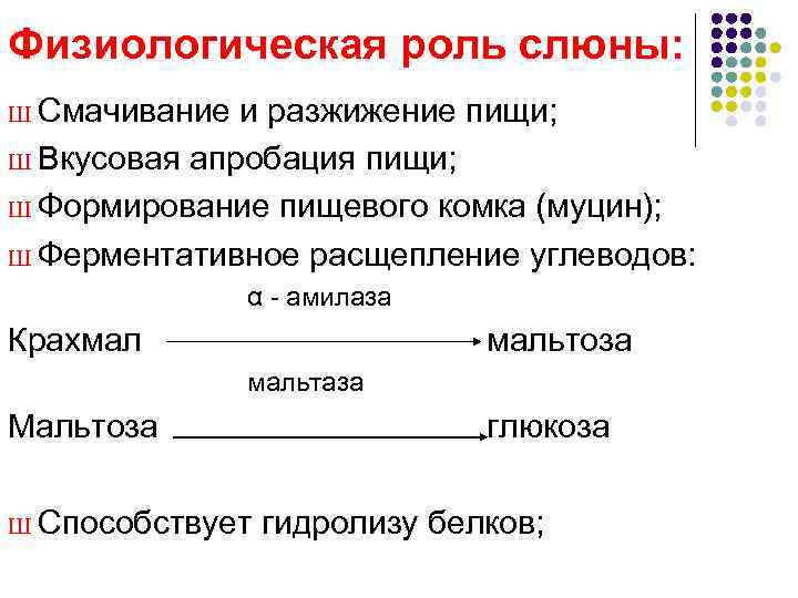Физиологическая роль слюны: Ш Смачивание и разжижение пищи; Ш Вкусовая апробация пищи;  Ш