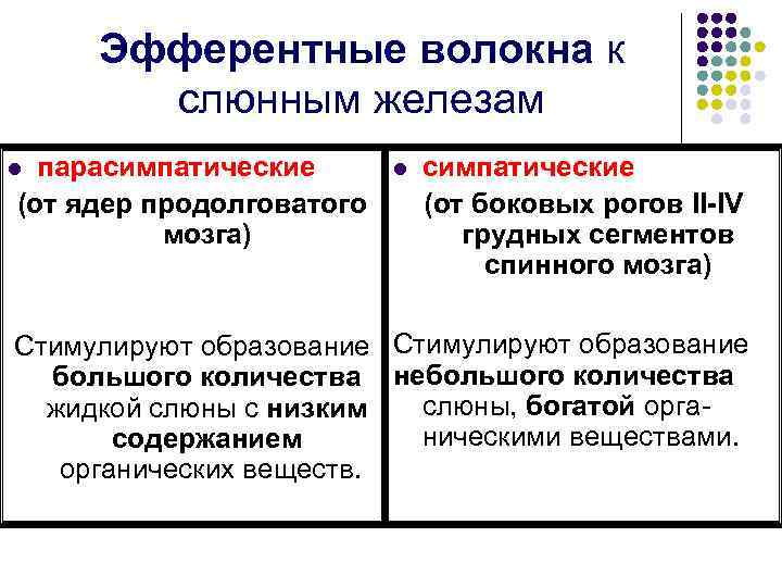  Эфферентные волокна к  слюнным железам l парасимпатические  l  симпатические (от