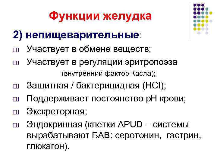   Функции желудка 2) непищеварительные: Ш  Участвует в обмене веществ; Ш 