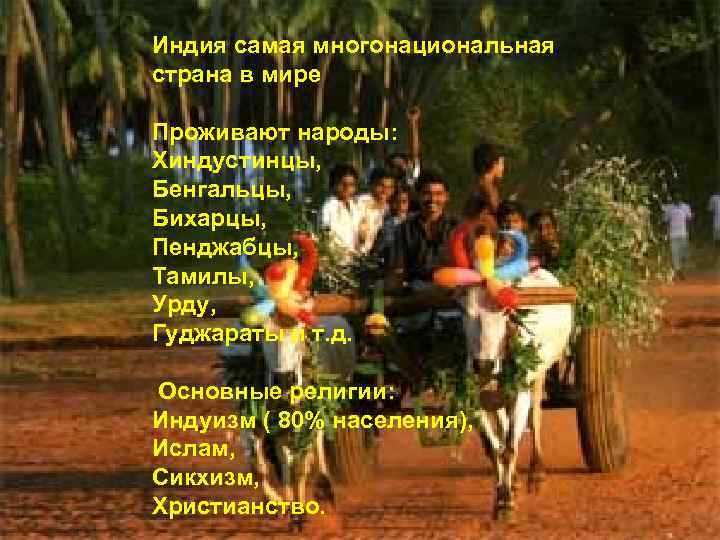 Индия самая многонациональная страна в мире Проживают народы: Хиндустинцы, Бенгальцы, Бихарцы, Пенджабцы, Тамилы, Урду,