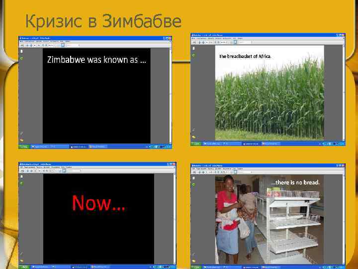 Кризис в Зимбабве 