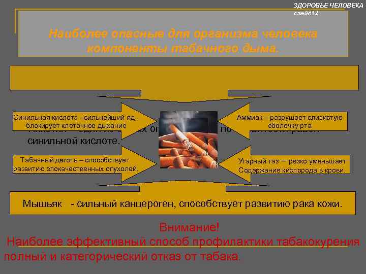      ЗДОРОВЬЕ ЧЕЛОВЕКА     слайд 12 