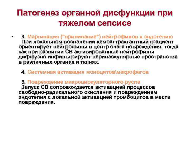  Патогенез органной дисфункции при  тяжелом сепсисе •  3. Маргинация (