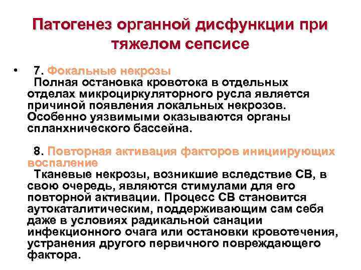  Патогенез органной дисфункции при   тяжелом сепсисе •  7. Фокальные некрозы