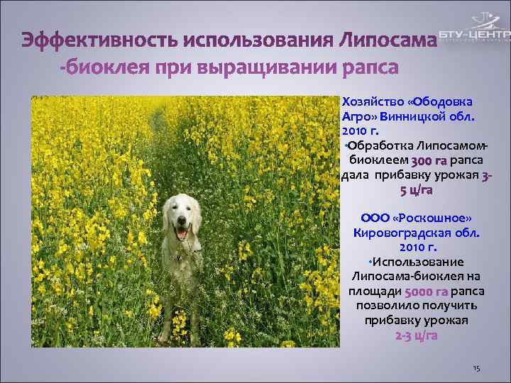 Хозяйство «Ободовка Агро» Винницкой обл. 2010 г. • Обработка Липосамом- биоклеем рапса Хозяйство «Ободовка Агро» Винницкой обл. 2010 г. • Обработка Липосамом- биоклеем рапса
