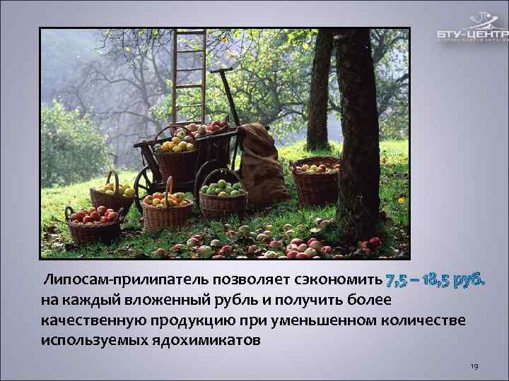 Липосам-прилипатель позволяет сэкономить 7, 5 – 18, 5 руб. на каждый вложенный рубль и Липосам-прилипатель позволяет сэкономить 7, 5 – 18, 5 руб. на каждый вложенный рубль и