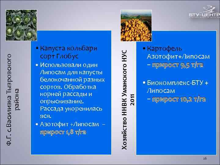 • Капуста кольбари • Капуста кольбари