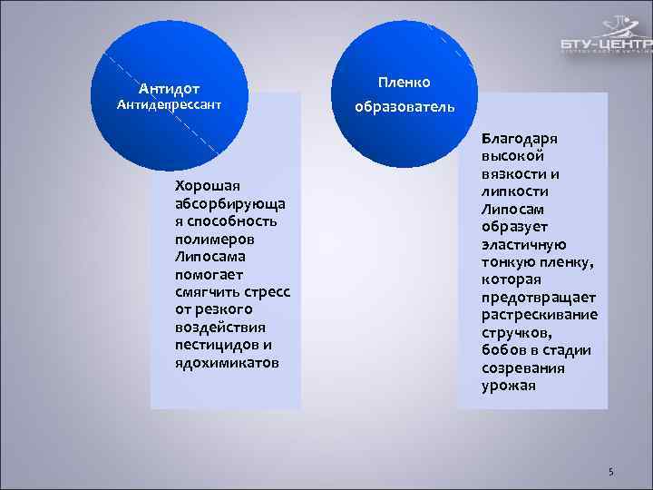 Антидот Пленко Антидепрессант образователь Антидот Пленко Антидепрессант образователь