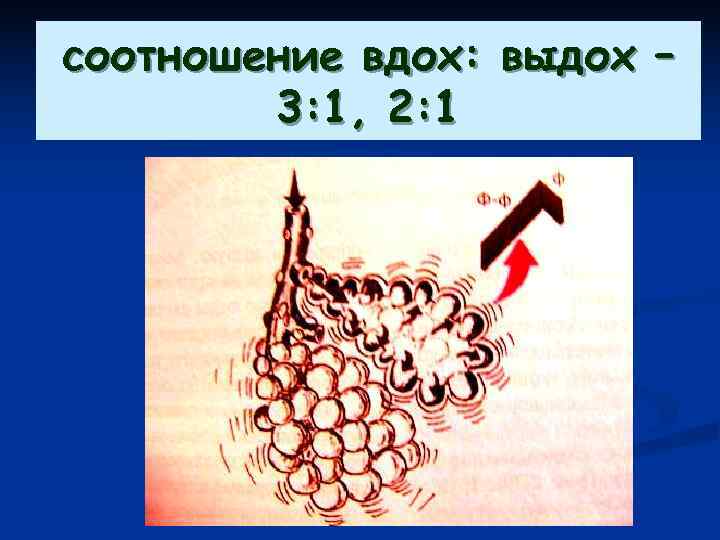 соотношение вдох: выдох –   3: 1, 2: 1 
