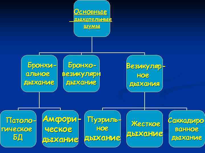    Основные   дыхательные    шумы  Бронхи- 