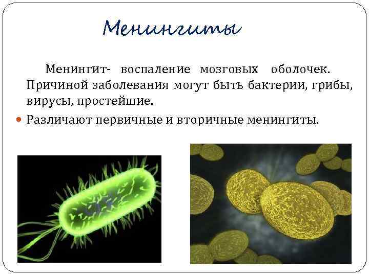   Менингиты Менингит воспаление мозговых оболочек.  Причиной заболевания могут быть бактерии, грибы,