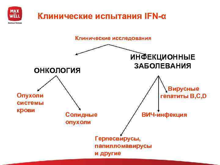    Клинические испытания IFN-α    Клинические исследования   