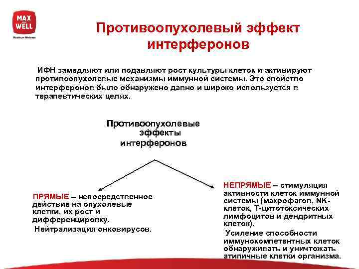     Противоопухолевый эффект      интерферонов  ИФН