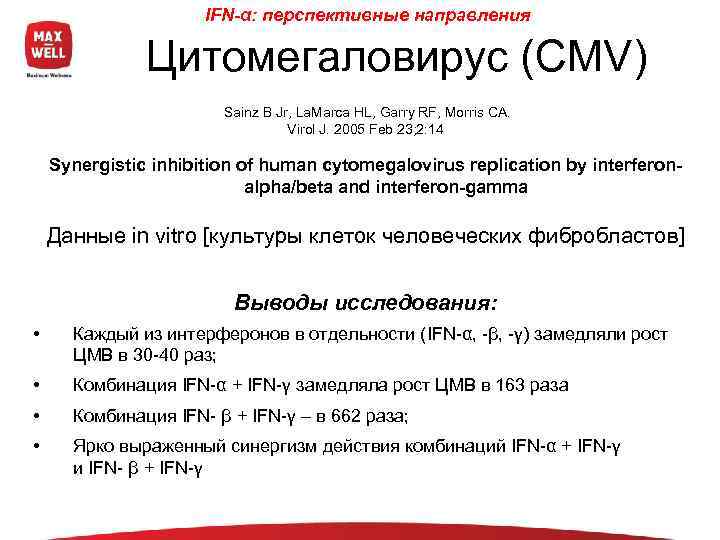      IFN-α: перспективные направления   Цитомегаловирус (CMV)  