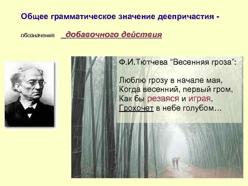 Общее грамматическое значение деепричастия - обозначение  добавочного действия     