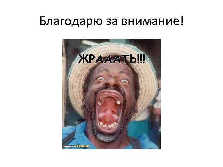 Благодарю за внимание! 
