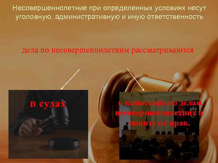Несовершеннолетние при определенных условиях несут уголовную, административную и иную ответственность дела по несовершеннолетним рассматриваются