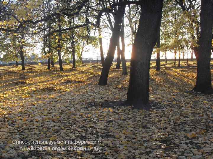 Список используемой информации: 1. ru. wikipedia. org/wiki/Кронштадт 
