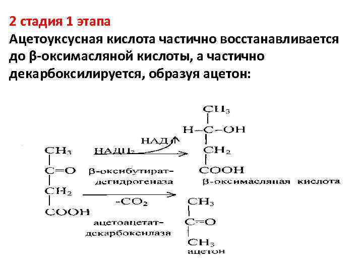 2 стадия 1 этапа Ацетоуксусная кислота частично восстанавливается до β-оксимасляной кислоты, а частично декарбоксилируется,